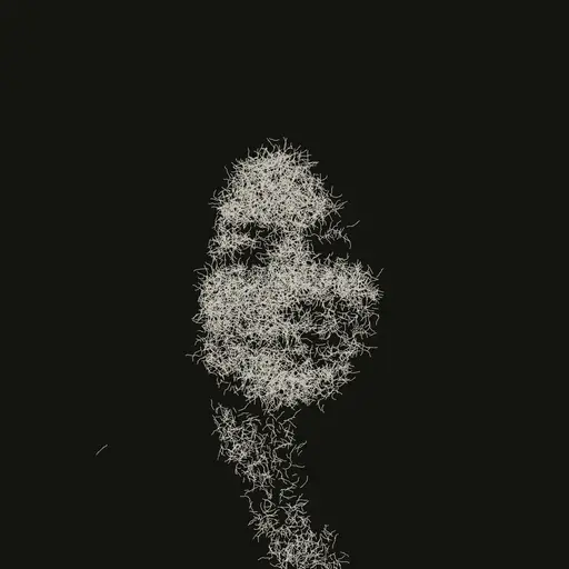 Jaquelyn Ov