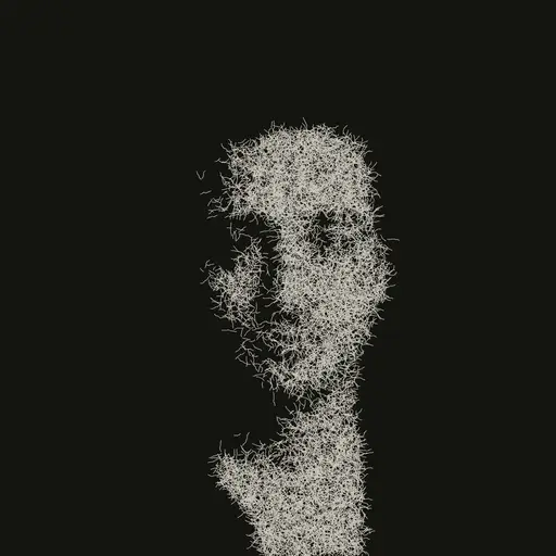 Kleidi Mico