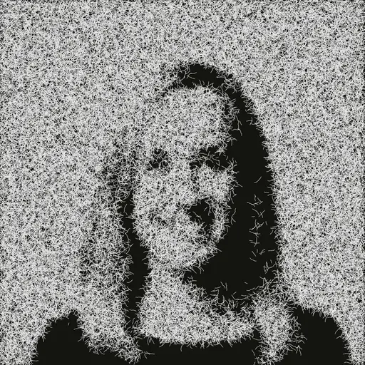 Martha Shear