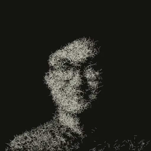Yizhao Tan